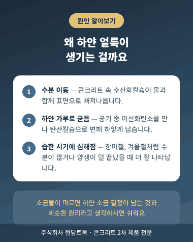 콘크리트 백화현상 원인을 설명하는 카드뉴스, 수분 이동과 탄산칼슘 생성 과정